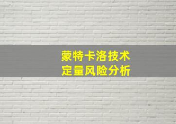 蒙特卡洛技术 定量风险分析